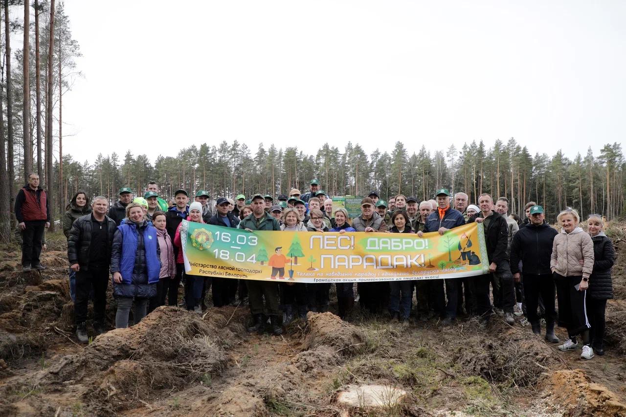 Сотрудники посольства приняли участие в акции по посадке деревьев Xeber basligi